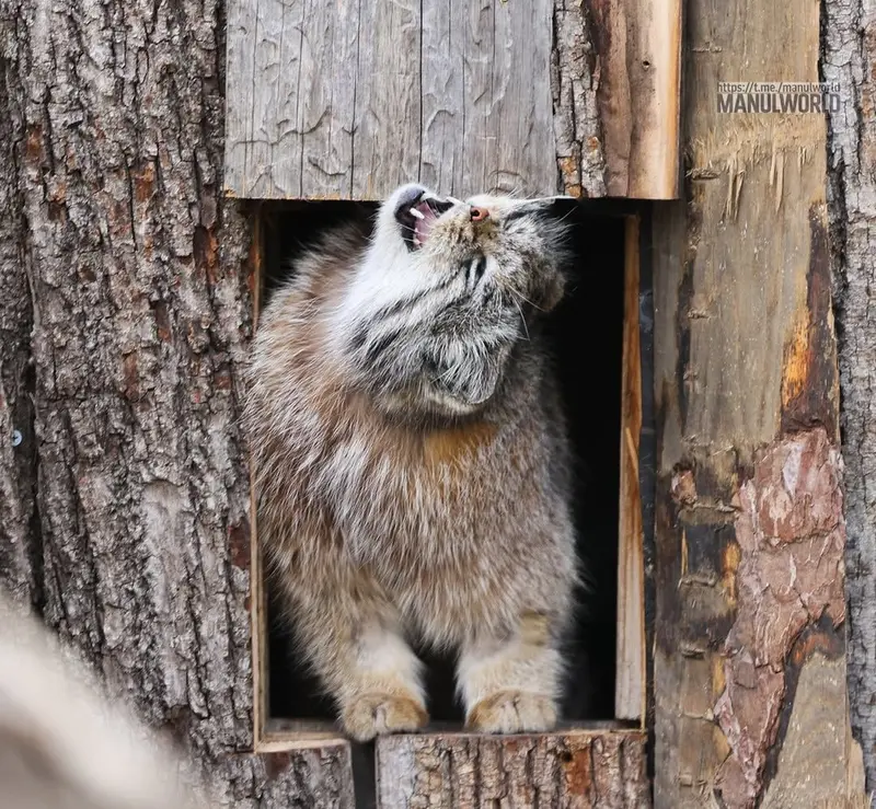 Фотография Кая в Зоопарке Красная река