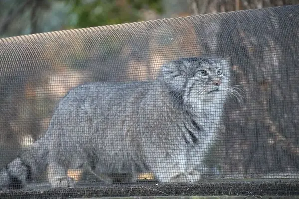 Фотография Мари в Детском зоопарке Сайтама
