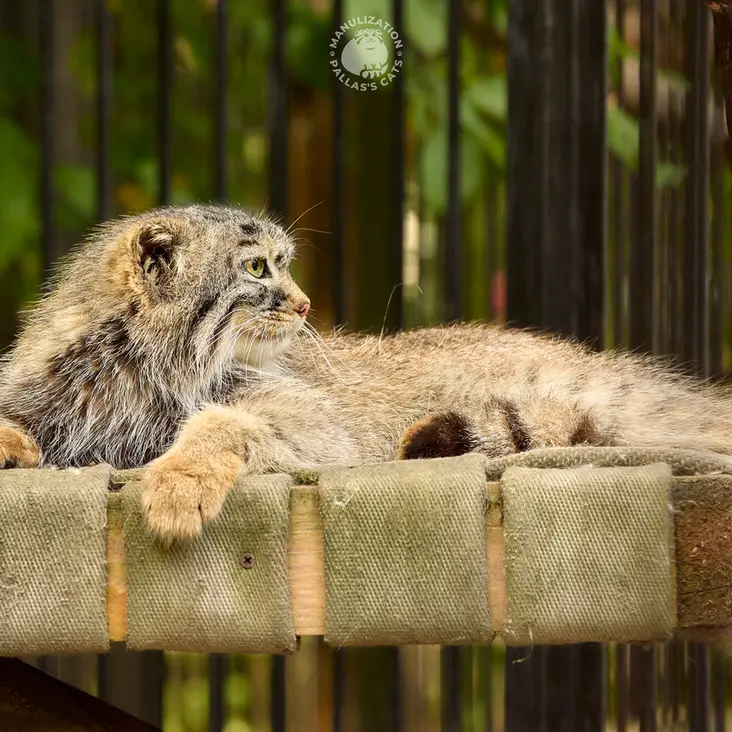 Фотография Габи в Новосибирском Зоопарке