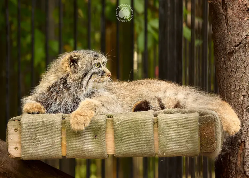 Фотография Габи в Новосибирском Зоопарке