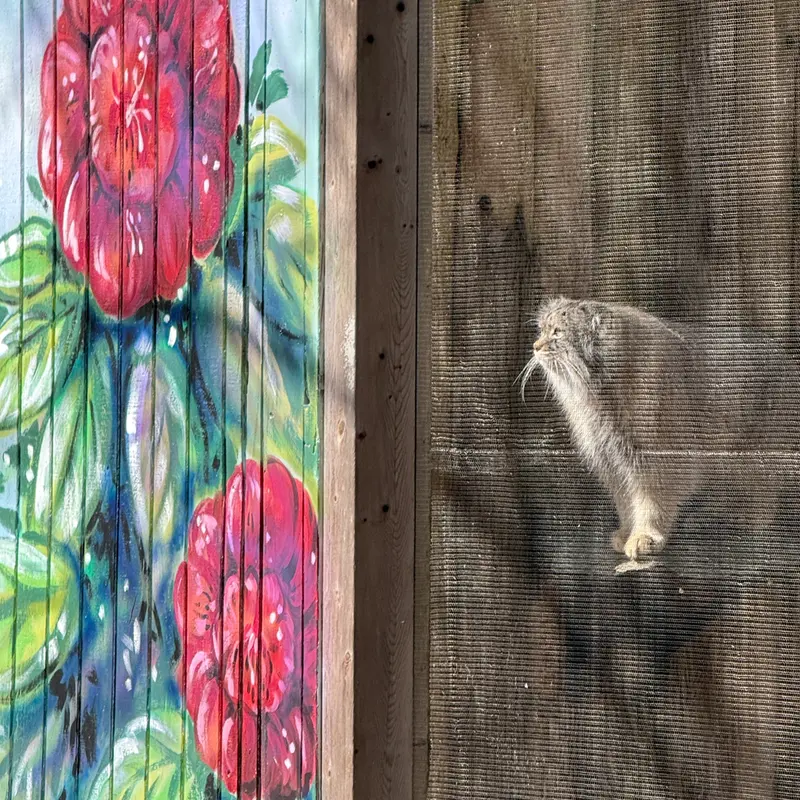 Фотография Пази в Зоопарке Поттер-парка