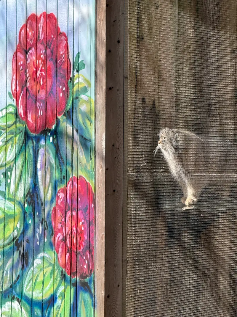 Фотография Пази в Зоопарке Поттер-парка