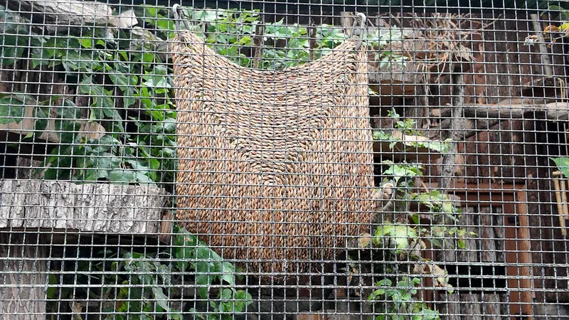 Фотография Шу в Ленинградском Зоопарке