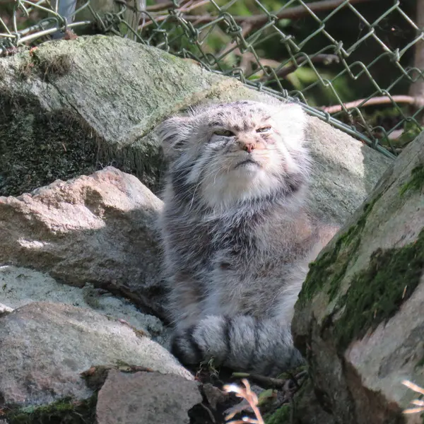 Фотография Пабу в Норденс Арк
