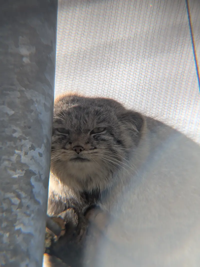 Фотография Бат-Эрдэнэ в Лэйклэнде Вайлдлайф Оазисе