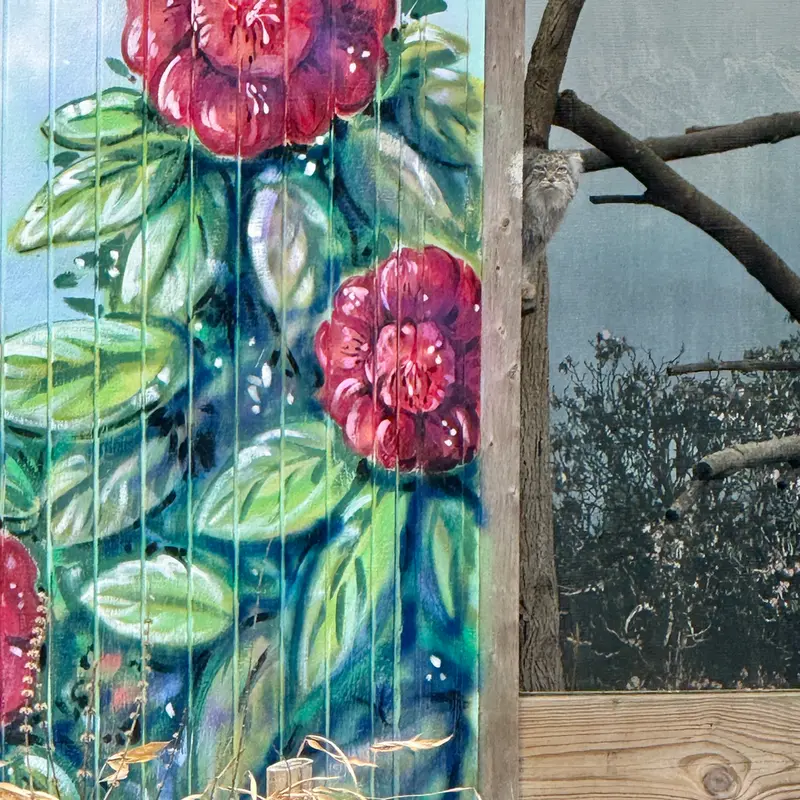 Фотография Пази в Зоопарке Поттер-парка