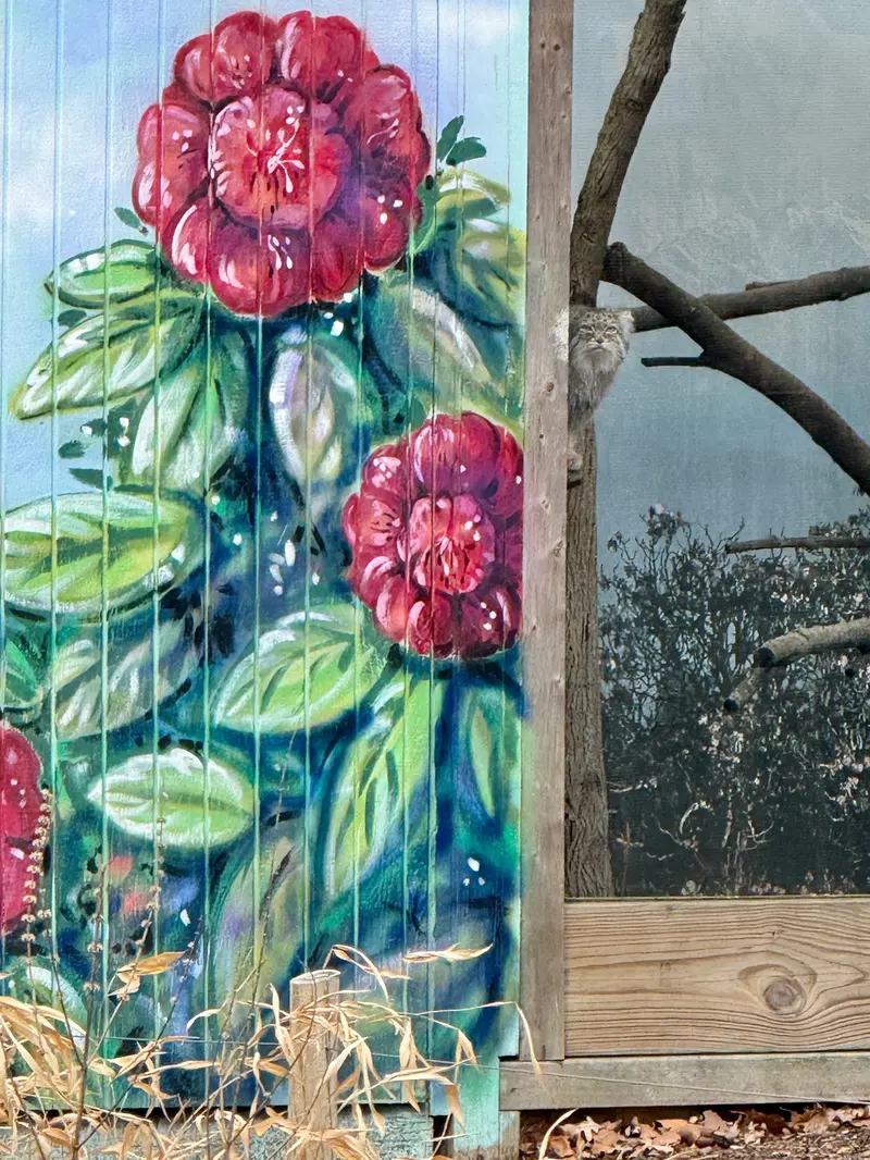 Фотография Пази в Зоопарке Поттер-парка