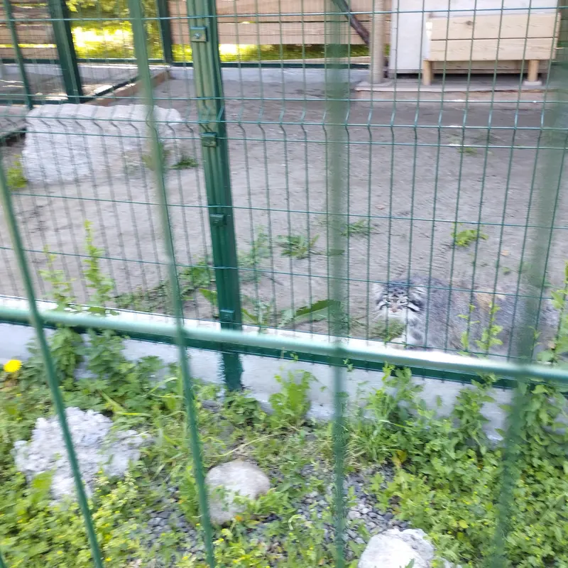 Фотография Чипа в Барнаульском Зоопарке «Лесная сказка»