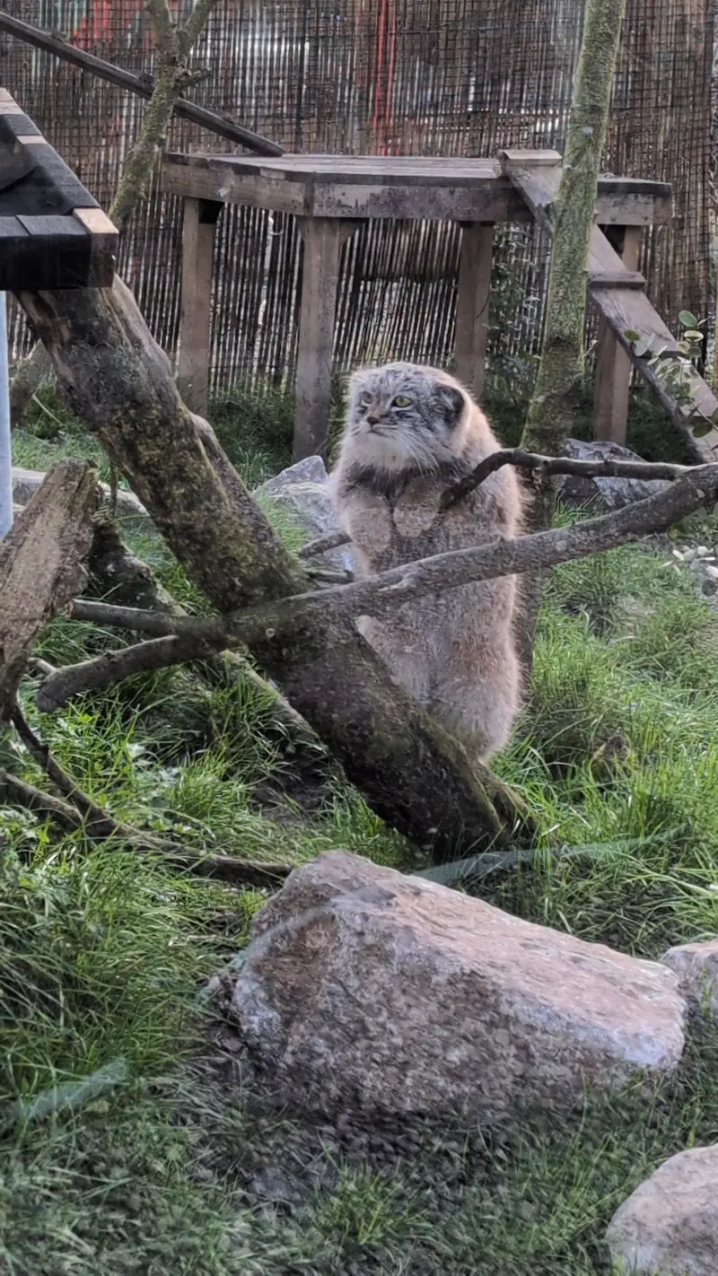 Фотография Бат-Эрдэнэ в Лэйклэнде Вайлдлайф Оазисе
