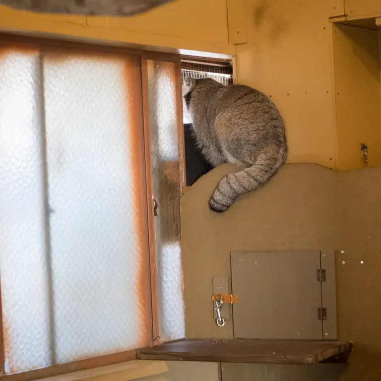 Фотография Ото в Детском зоопарке Сайтама