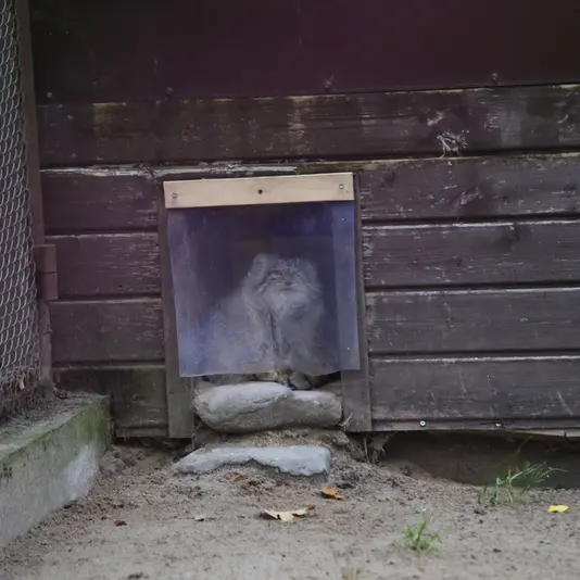 Фотография Боженки в Познаньском Новом Зоопарке