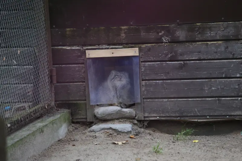 Фотография Боженки в Познаньском Новом Зоопарке