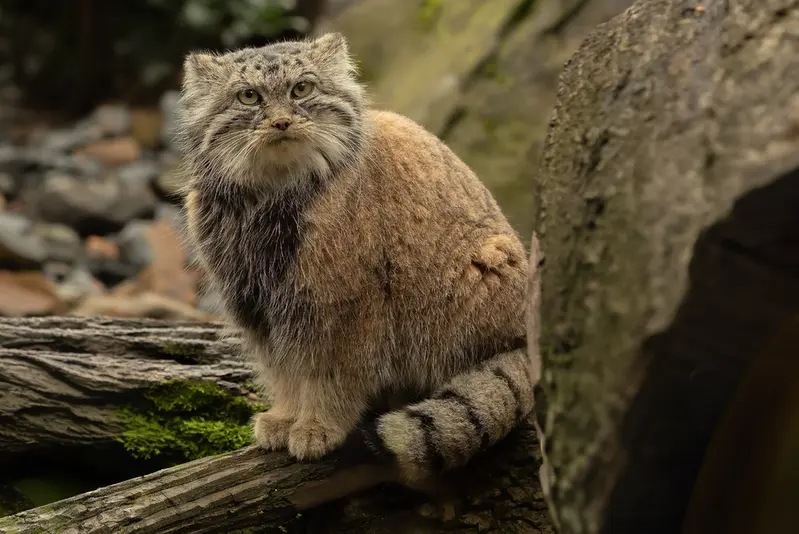 Фотография Мойры в Остравском Зоопарке