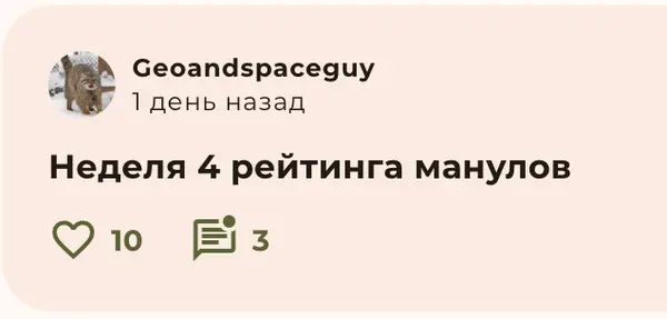 Фотография с манулом