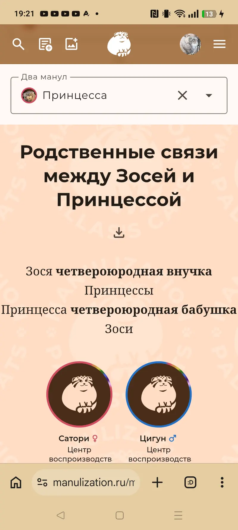 Фотография Сатори, Принцессы и Цигуна