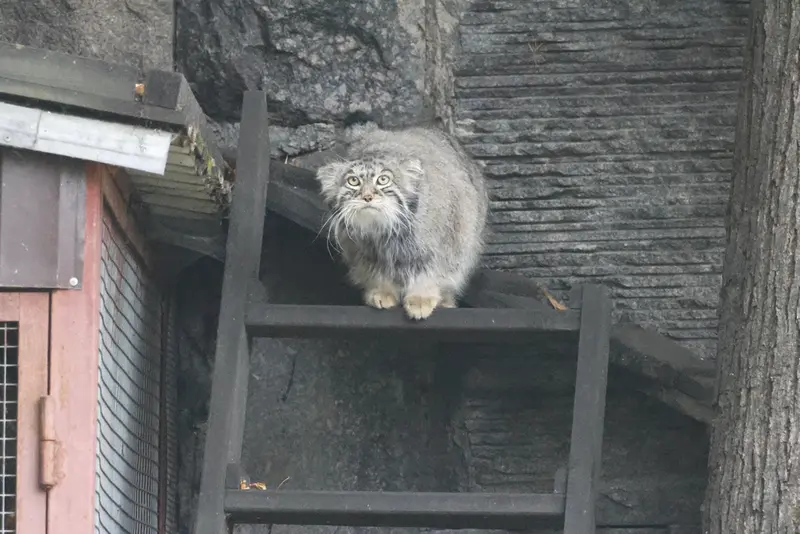 Фотография Тимофея в Московском зоопарке