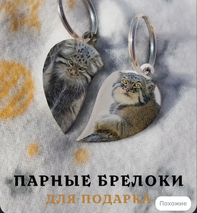 Фотография с манулом