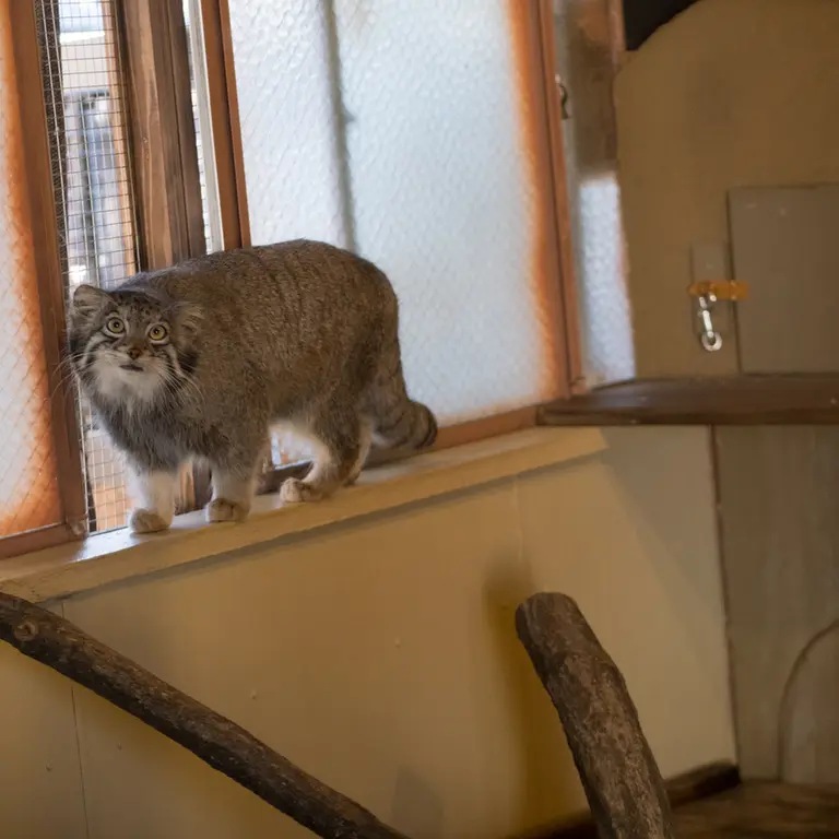 Фотография Ото в Детском зоопарке Сайтама