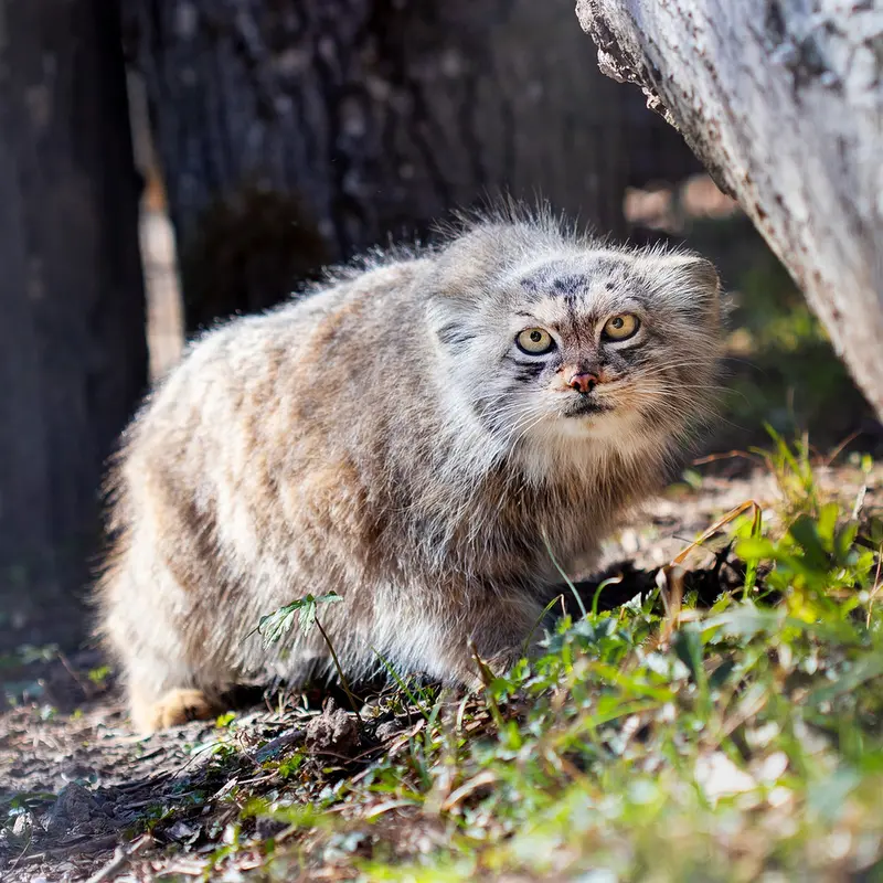 Фотография Мелиссы в Литовском Зоопарке
