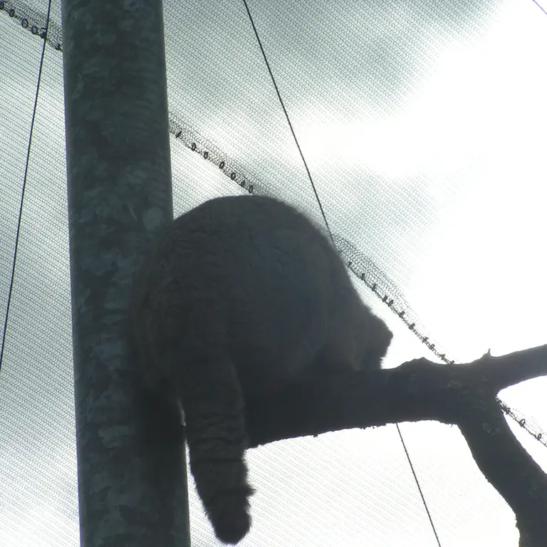 Фотография Бат-Эрдэнэ в Лэйклэнде Вайлдлайф Оазисе