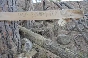 Фотография Нади в Горном Зоопарке Шайенн