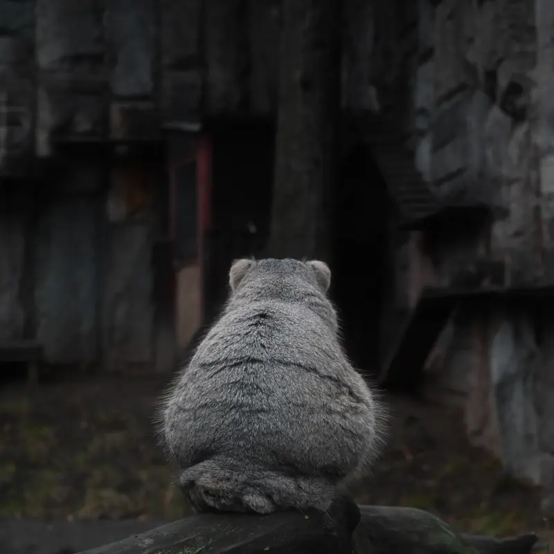 Фотография Тимофея в Московском Зоопарке