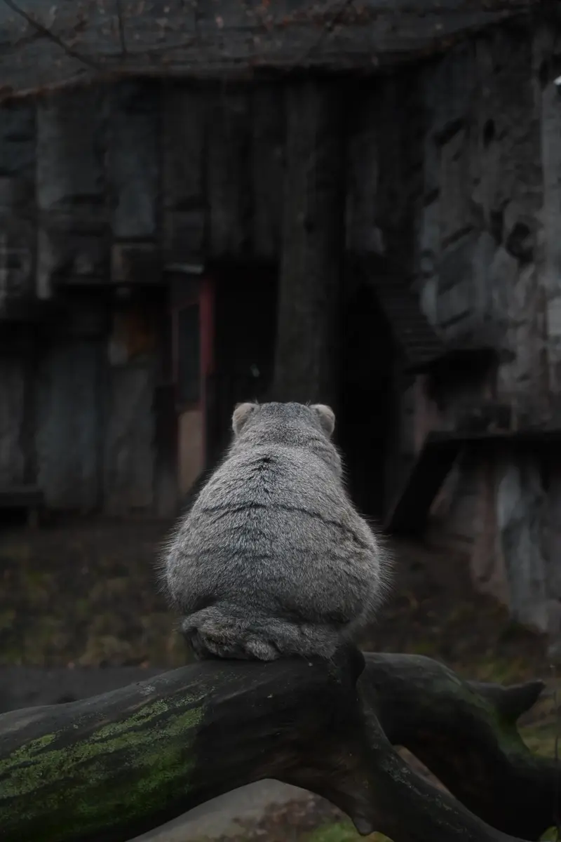 Фотография Тимофея в Московском Зоопарке