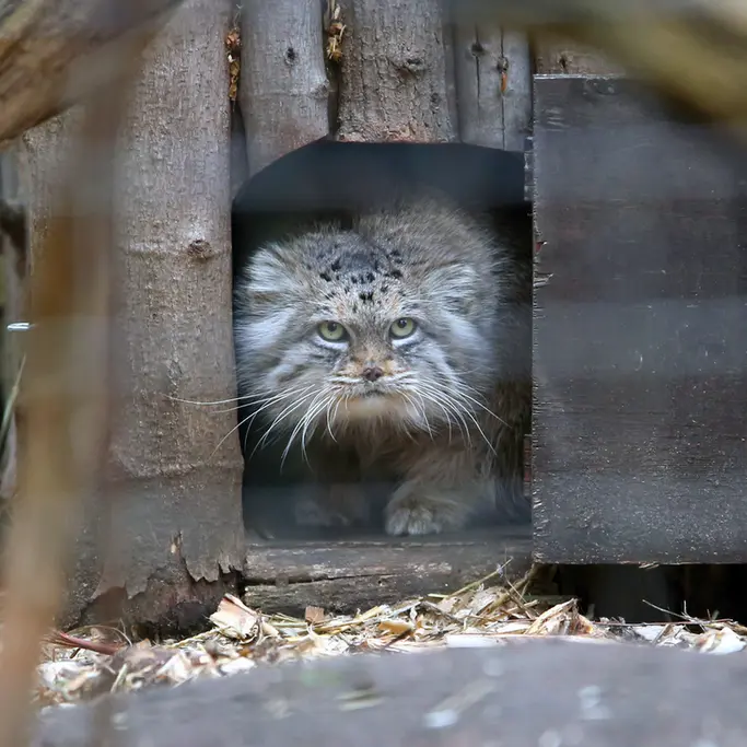 Фотография Джесси в Варшавском Зоопарке
