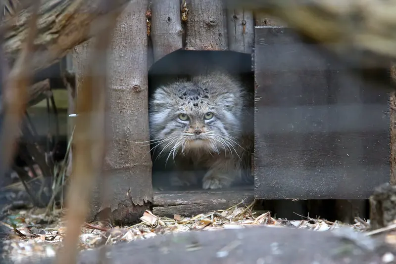 Фотография Джесси в Варшавском Зоопарке