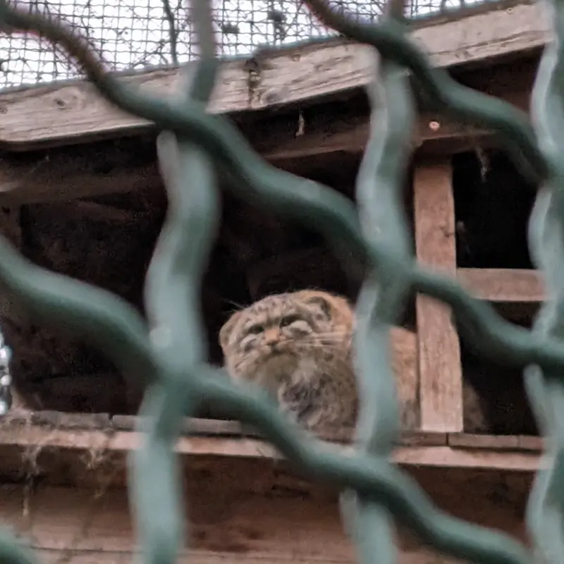 Фотография Люси в Будапештском Зоопарке