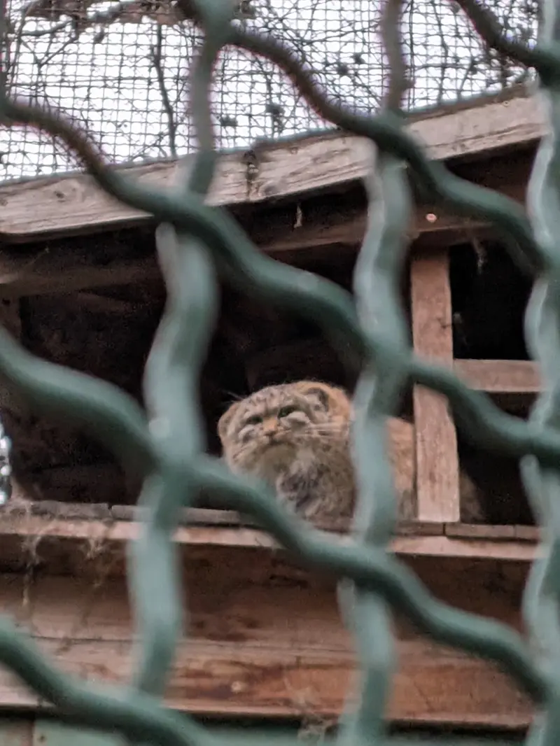 Фотография Люси в Будапештском Зоопарке