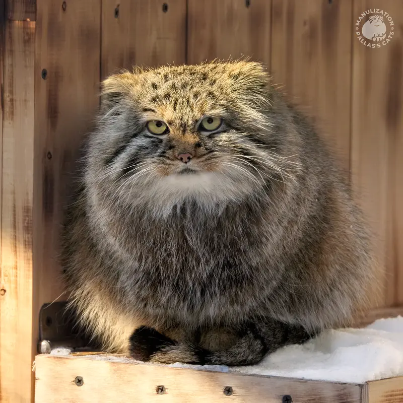 Фотография Габи в Новосибирском Зоопарке