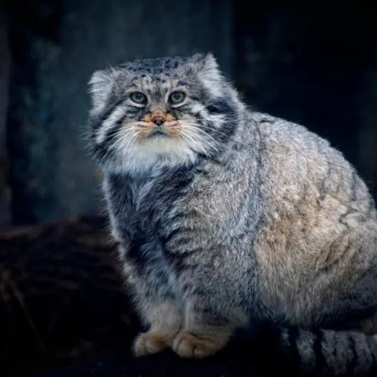 Фотография Вадима в Московском Зоопарке