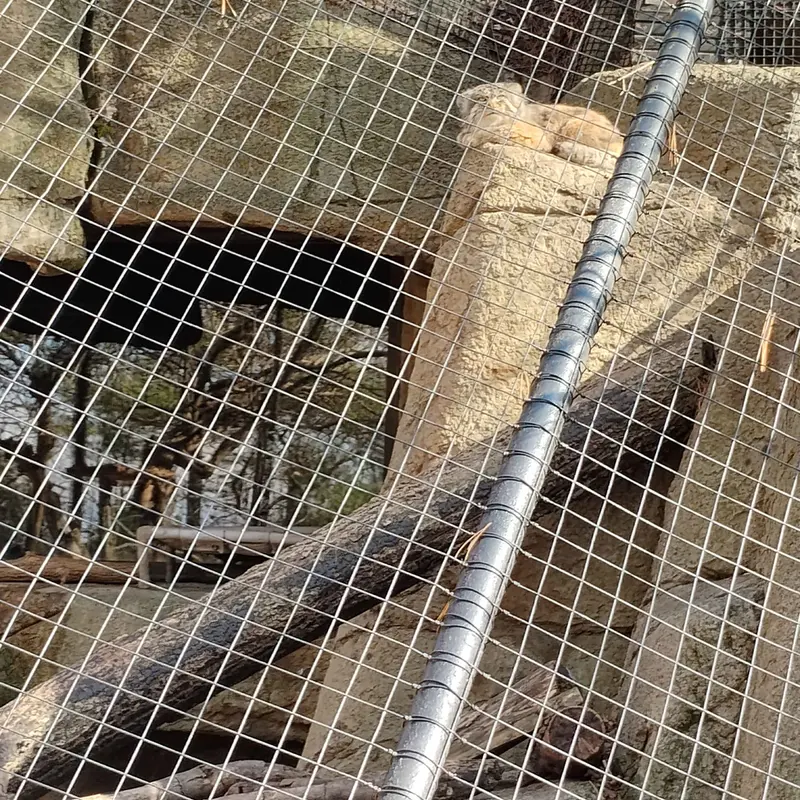 Фотография Мушу в Зоопарке Цинциннати