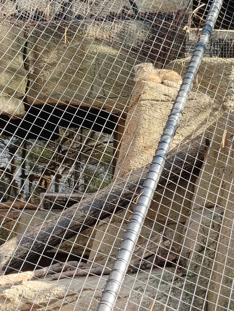 Фотография Мушу в Зоопарке Цинциннати