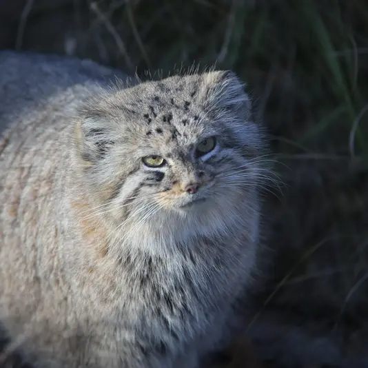 Фотография Зарины в Вроцлавском Зоопарке