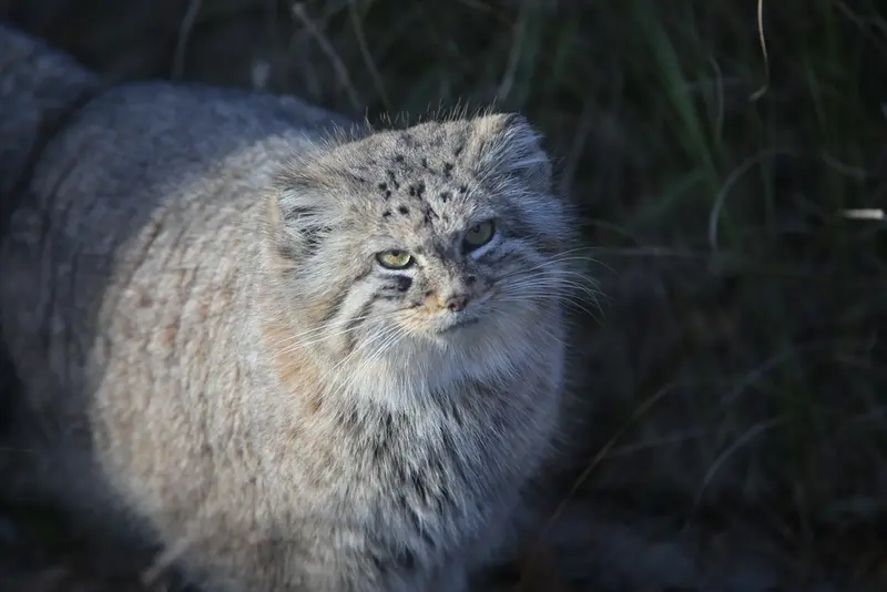 Фотография Зарины в Вроцлавском Зоопарке