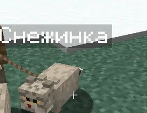 Фотография Снежинки