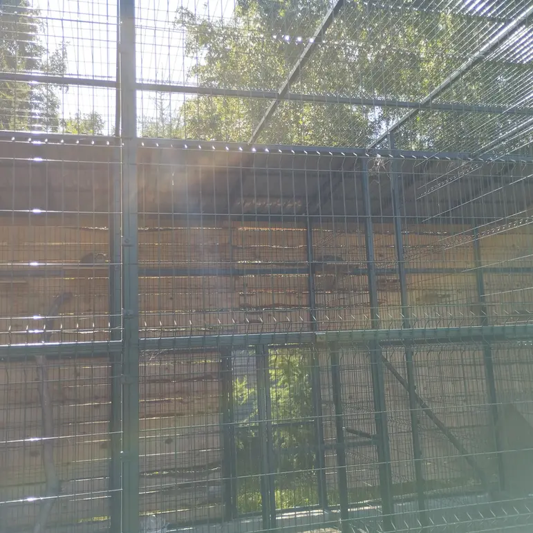 Фотография Пепе в Барнаульском Зоопарке «Лесная сказка»