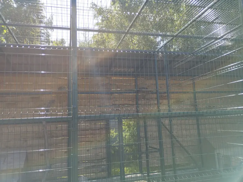 Фотография Пепе и Чипа в Барнаульском Зоопарке «Лесная сказка»