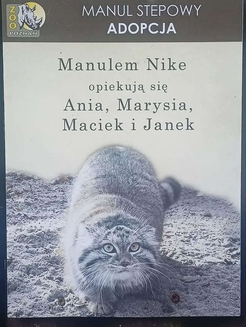 Фотография Ники в Познаньском новом зоопарке