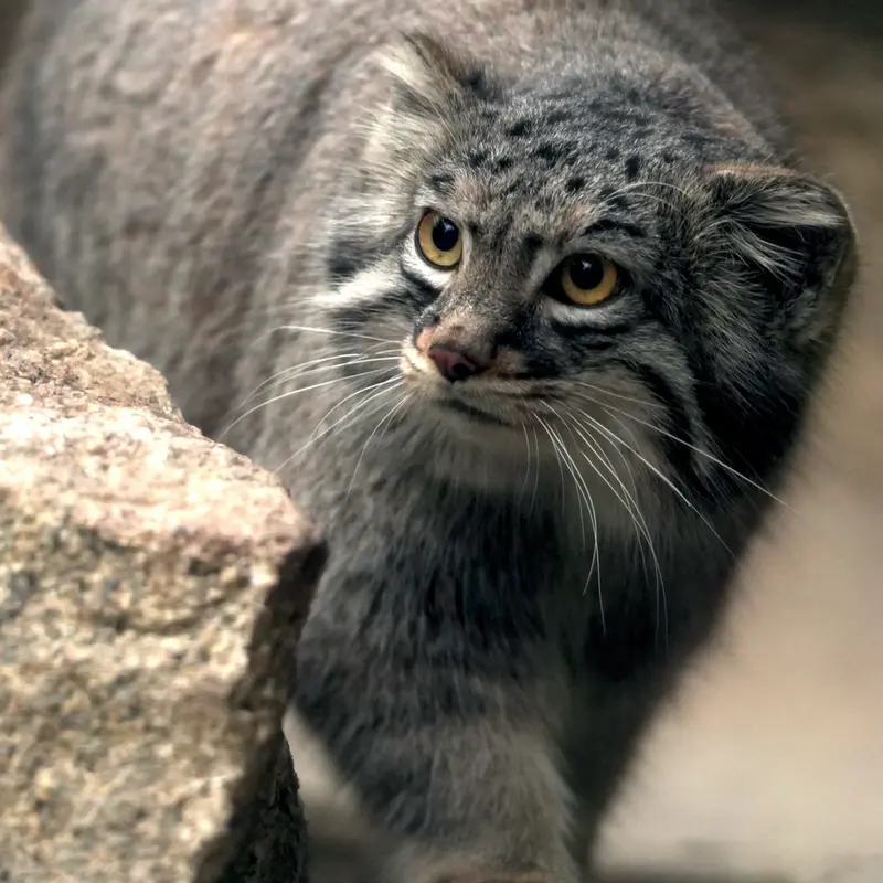 Фотография Мей в Царстве Животных Кобе