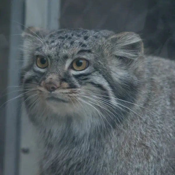 Фотография Мей в Царстве Животных Кобе