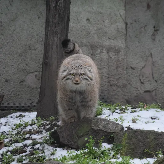 Фотография Люси в Будапештском Зоопарке