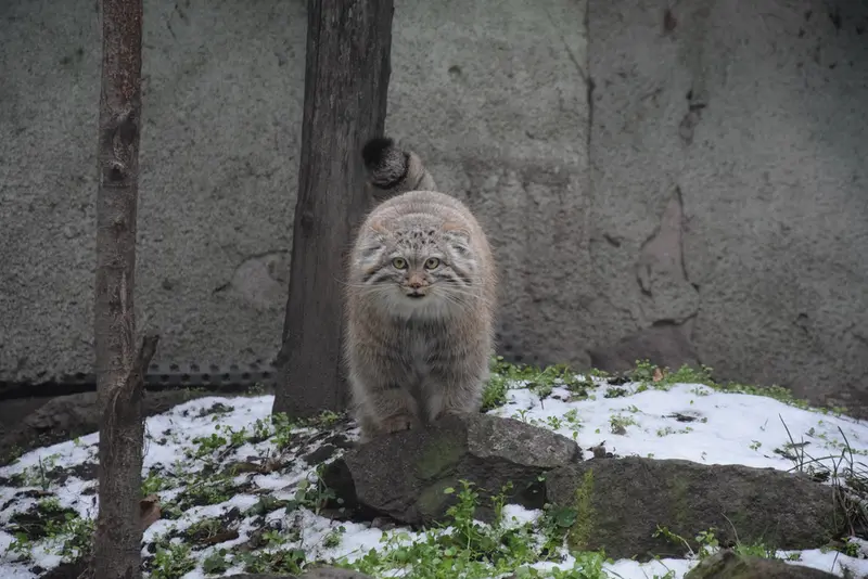 Фотография Люси в Будапештском Зоопарке