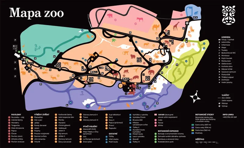 Фотография с манулом