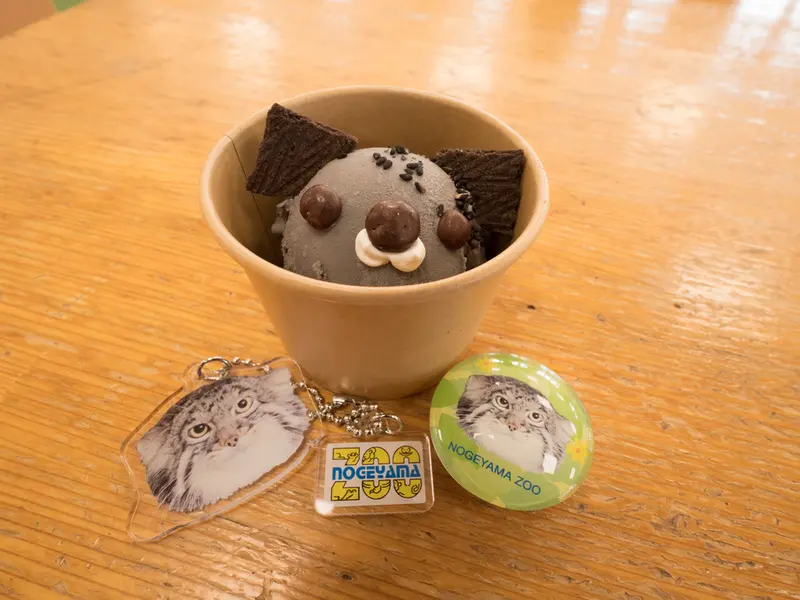 Фотография Фиги в Зоопарке Ногеяме