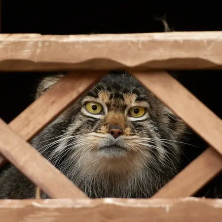Фотография Алтая в Ижевском Зоопарке