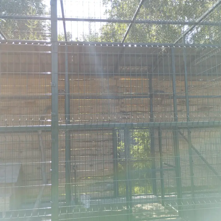 Фотография Пепе в Барнаульском Зоопарке «Лесная сказка»