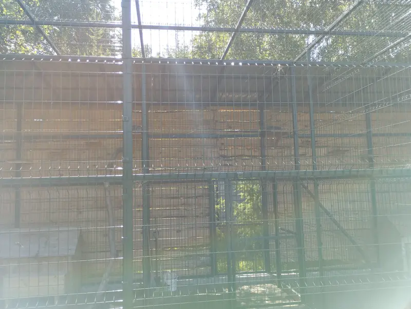 Фотография Пепе и Чипа в Барнаульском Зоопарке «Лесная сказка»